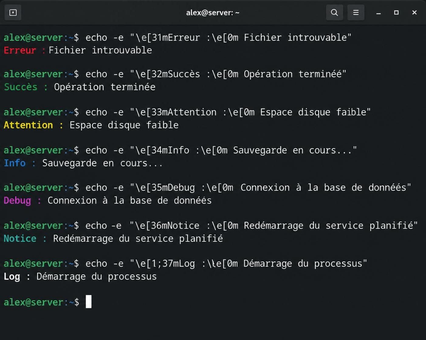 découvrez comment utiliser la commande echo en terminal pour afficher du texte, maîtriser ses options et optimiser vos scripts grâce à ce guide simple et complet.